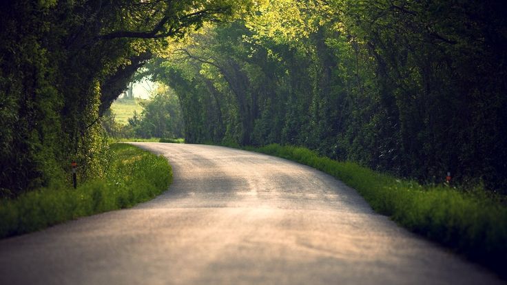 an empty road surrounded by trees and grass