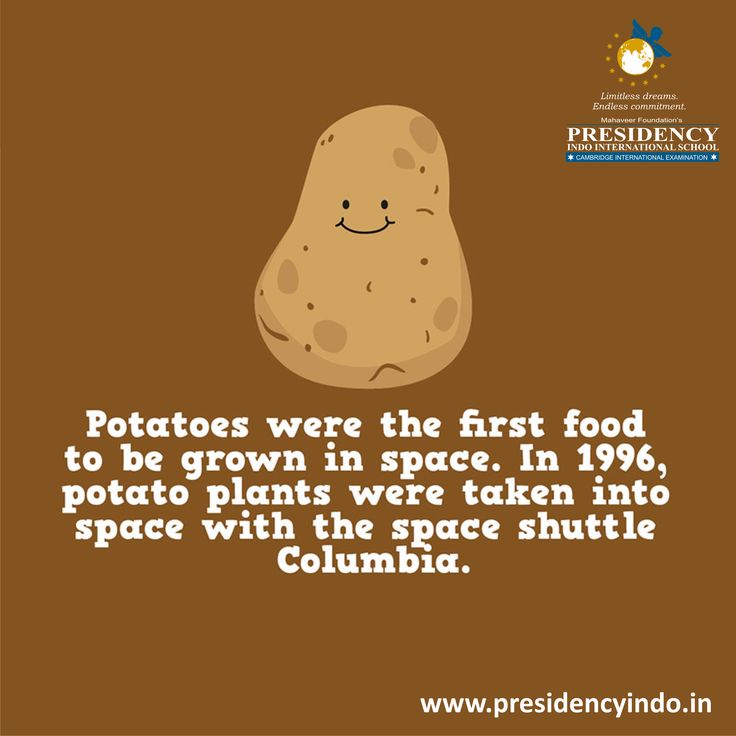 a potato with the caption potatoes were the first food to be grown in space