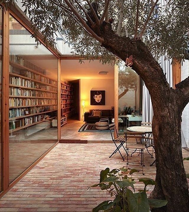 the instagram page for instagram com features an image of a tree and patio