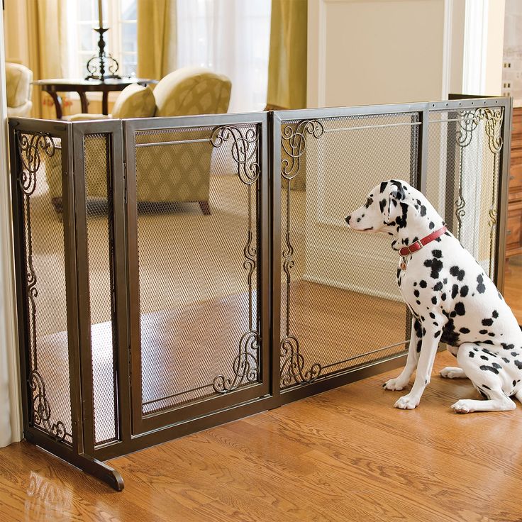 a dalmatian dog is sitting in front of a mirrored door and looking at itself