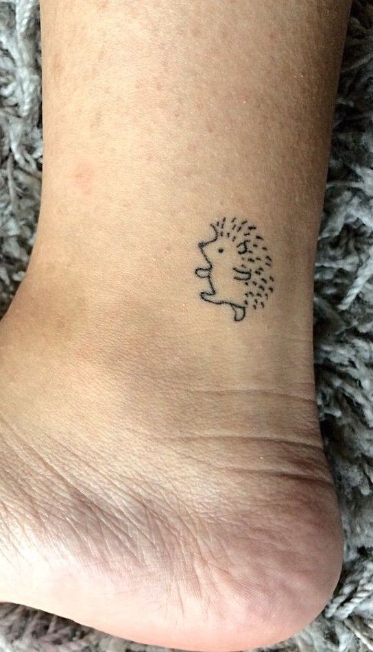 Cách vẽ cute animal outlines đơn giản nhất cho người mới bắt đầu