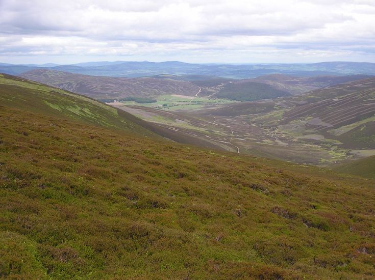 a grassy hill with hills in the distance