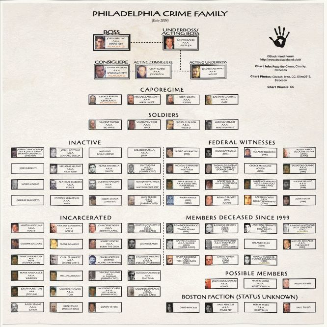 a family tree is shown with the names and pictures on it's side, as well as hand prints