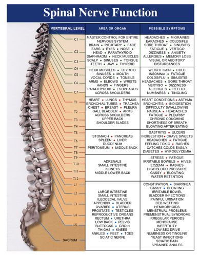 Chiropractic 101- The “Why”