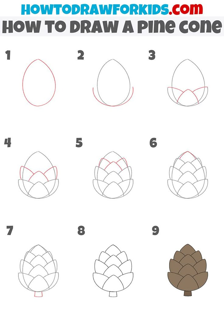 how to draw a pine cone for kids with step by step instructions on how to draw pine cones