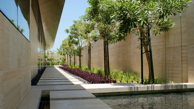 the walkway is lined with trees and plants next to a wall that has water running down it