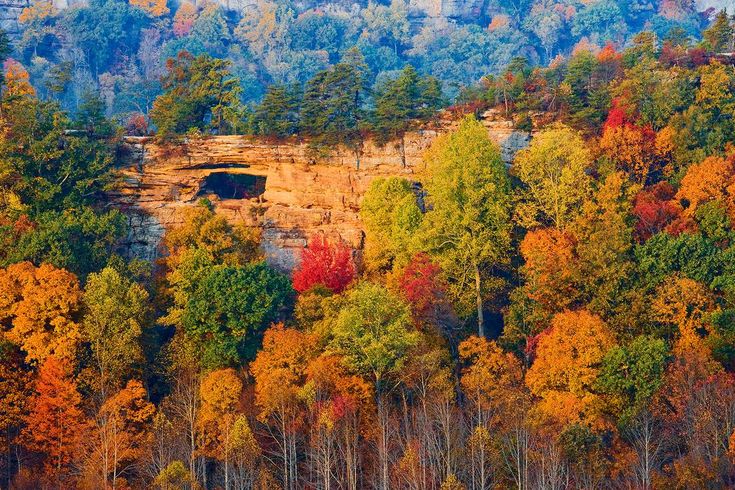 the trees are changing colors in front of a cliff face with a cave built into it