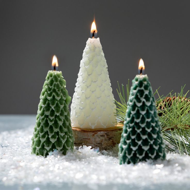 three candles are sitting in the snow with pine cones