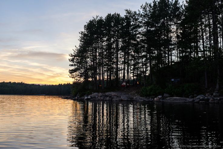 the sun is setting behind some trees on the shore of a lake with calm water