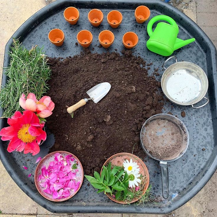 a tray filled with dirt, flowers and gardening utensils