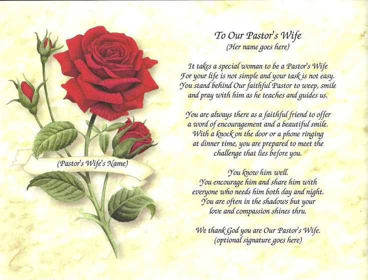 a red rose with the words sisters on it