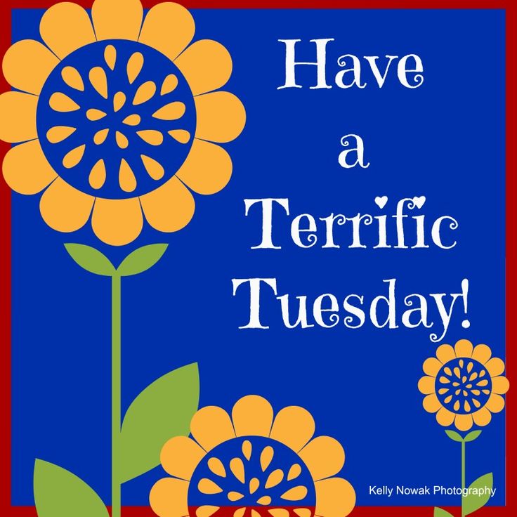 there is a blue and orange flower with the words have a terrible tuesday on it