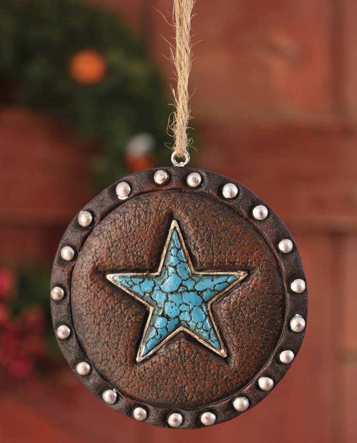 a metal ornament with a star on it hanging from a rope next to a potted plant