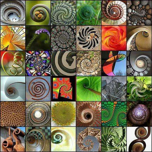 many different pictures are shown together in this collage, including spirals and circles