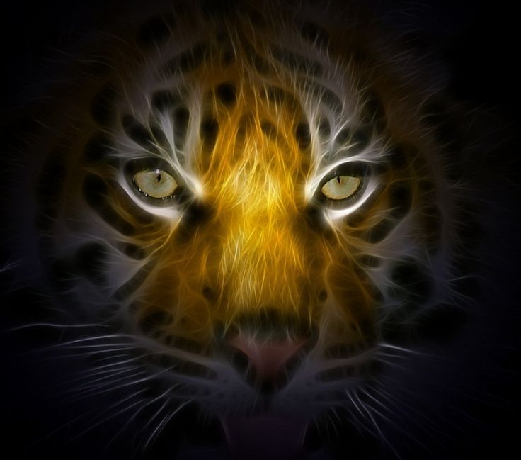 an image of a tiger's face in the dark with yellow eyes and black background