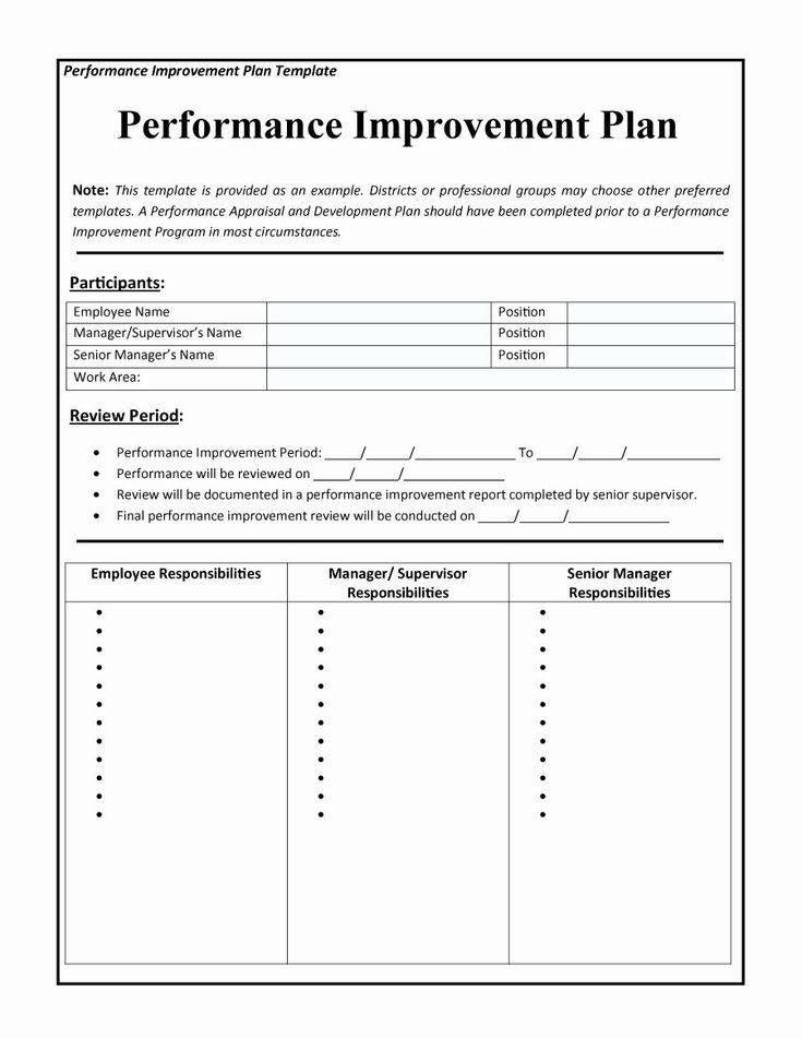 the performance improvement plan is shown in this document, and it contains information about how to use