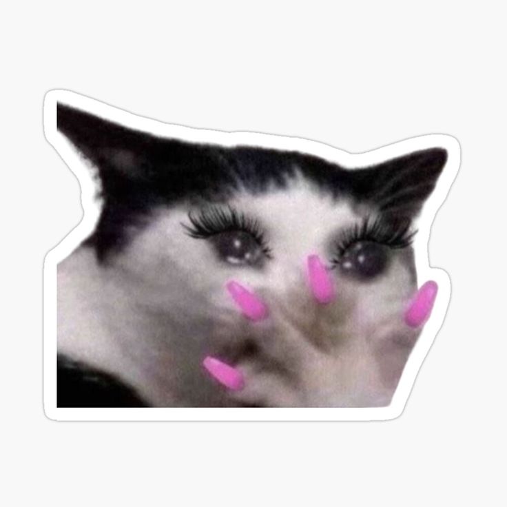 a black and white cat with pink nails on it's face sticker is shown