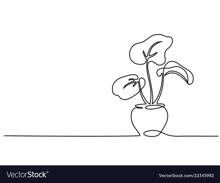 a continuous line drawing of a flower in a vase