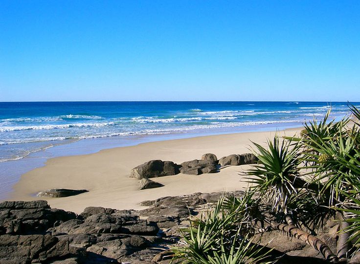 a sandy beach next to the ocean with palm trees in foreground and blue sky