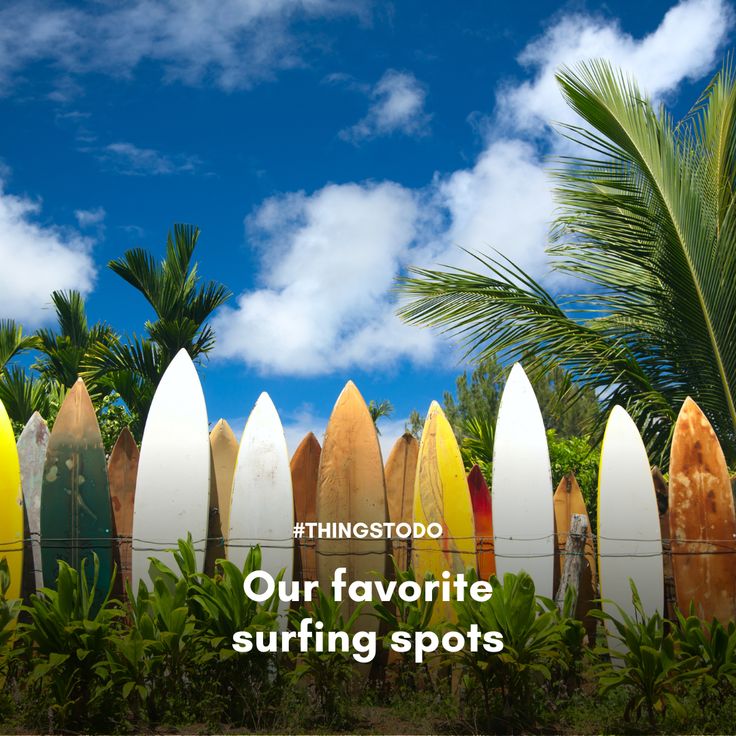 several surfboards lined up against a fence with the words, our favorite surfing spots