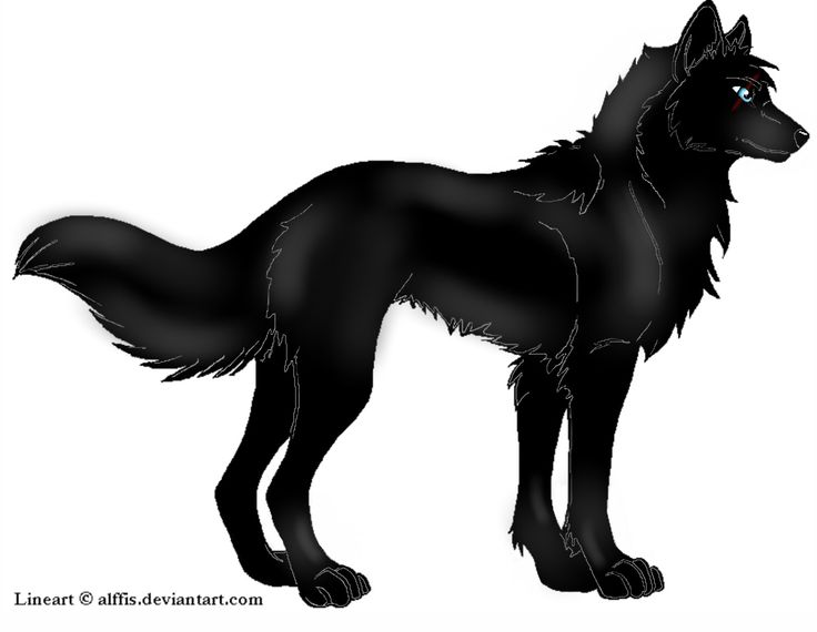 Black Wolf Blue Eyes Drawing