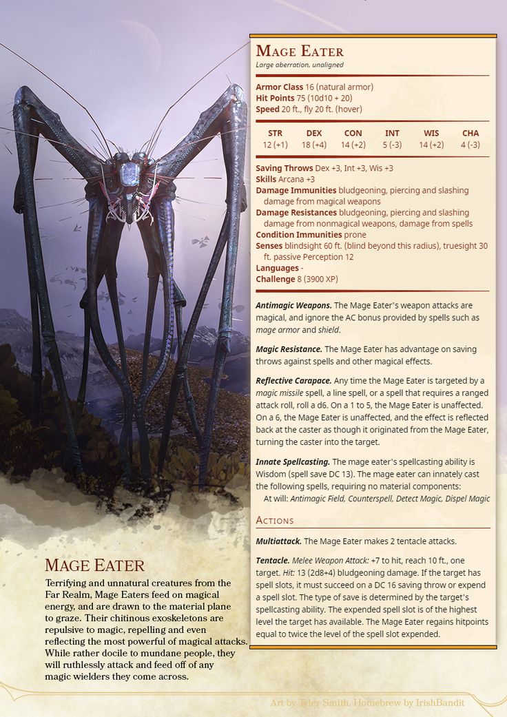 an image of a giant insect on the side of a page with information about it