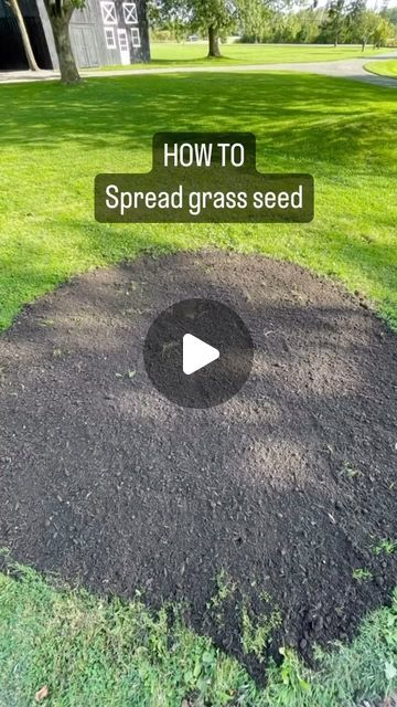 how to spread grass seed in the garden