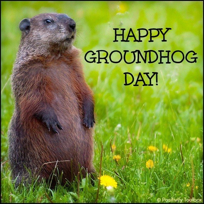 Groundhog Day | Happy groundhog day, Groundhog day, Groundhog pictures