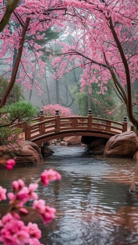 a bridge that is over some water with pink flowers on the trees in front of it