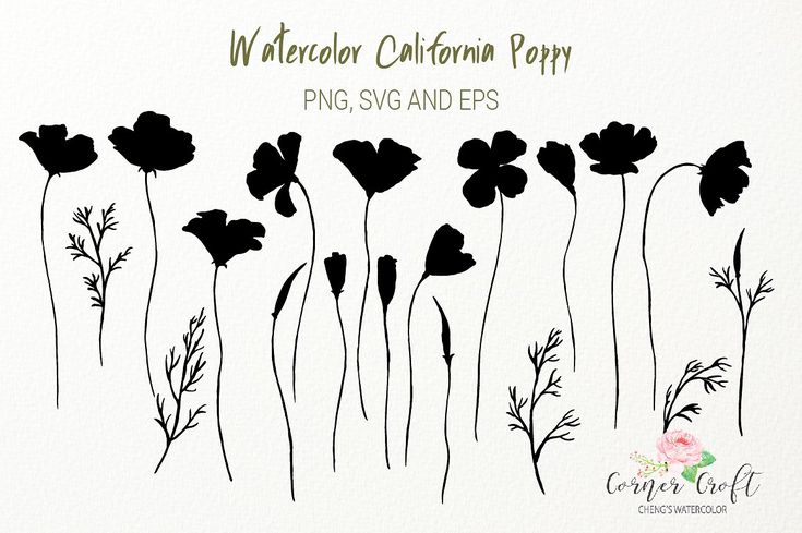 watercolor california poppy svg and png