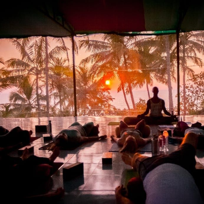 a group of people doing yoga in front of a window with palm trees and the sun setting