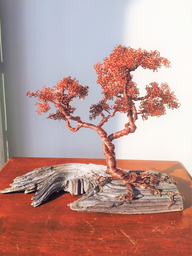 a bonsai tree sitting on top of a wooden table next to a piece of driftwood