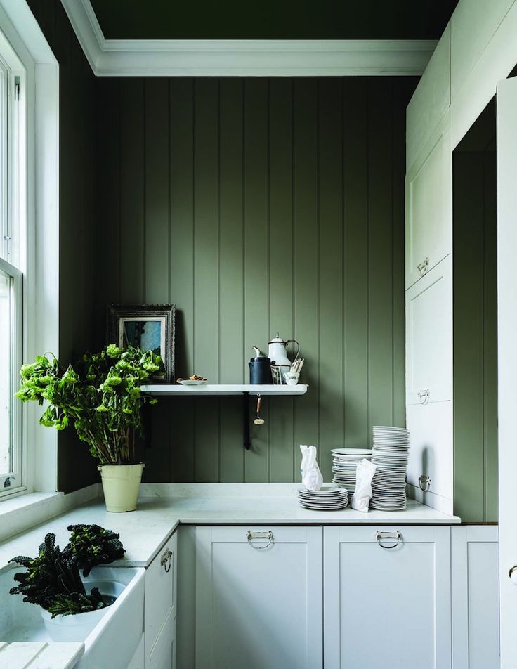 a kitchen with green painted walls and white cupboards, potted plants on the window sill