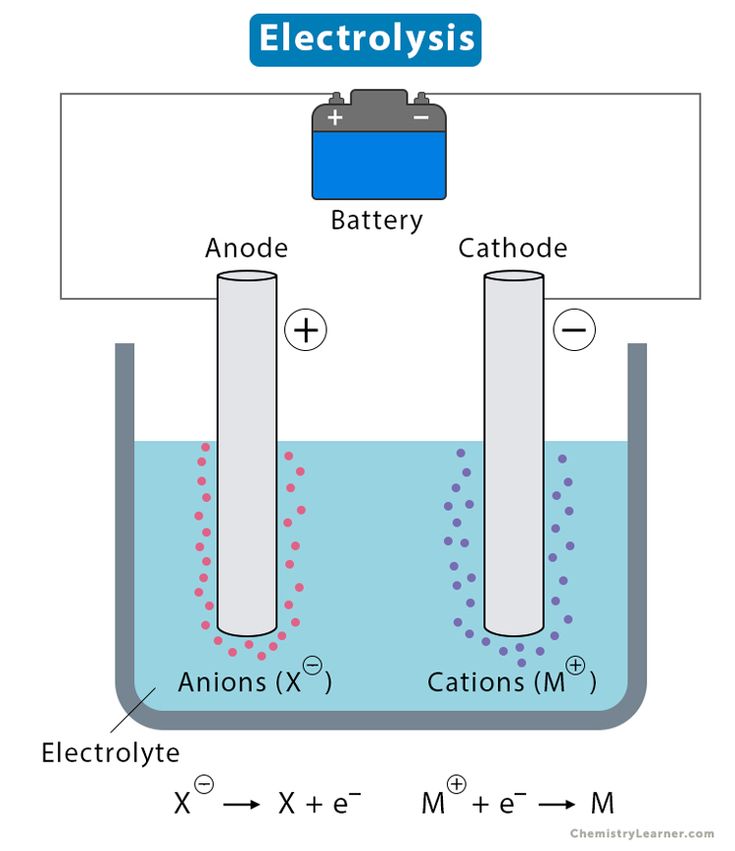 the diagram shows two different types of electrolytes and anionic reacters