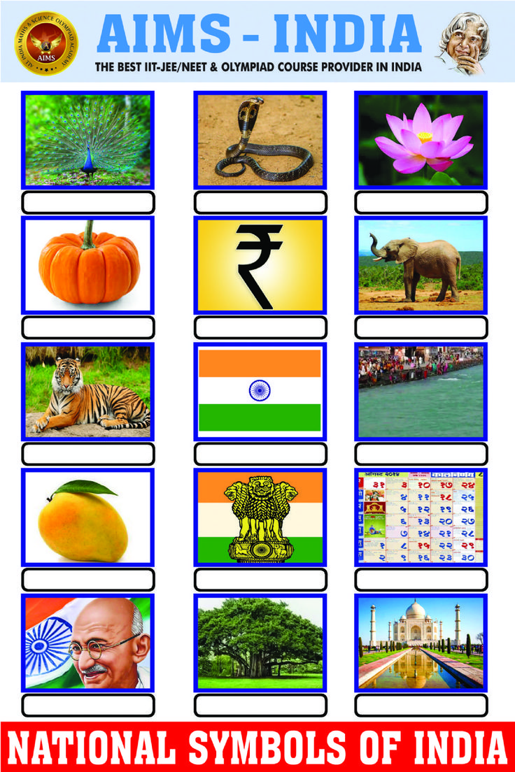 National symbols of india - aims-india worksheet in 2023 ...