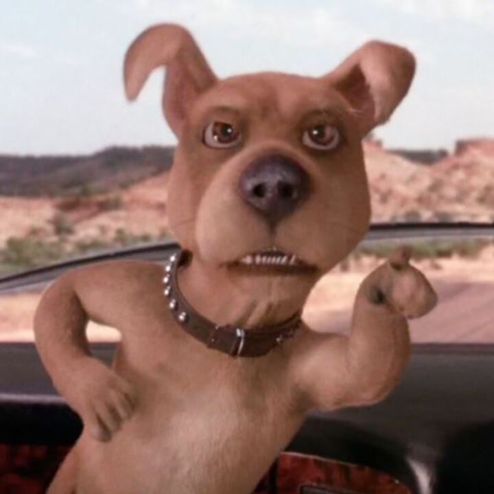 a dog is sitting in the passenger seat of a car with its paws on the steering wheel