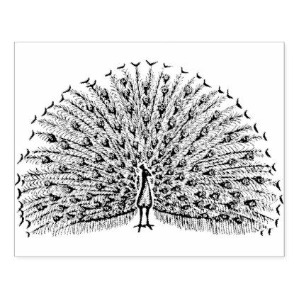 a black and white drawing of a peacock with its feathers spread out ...