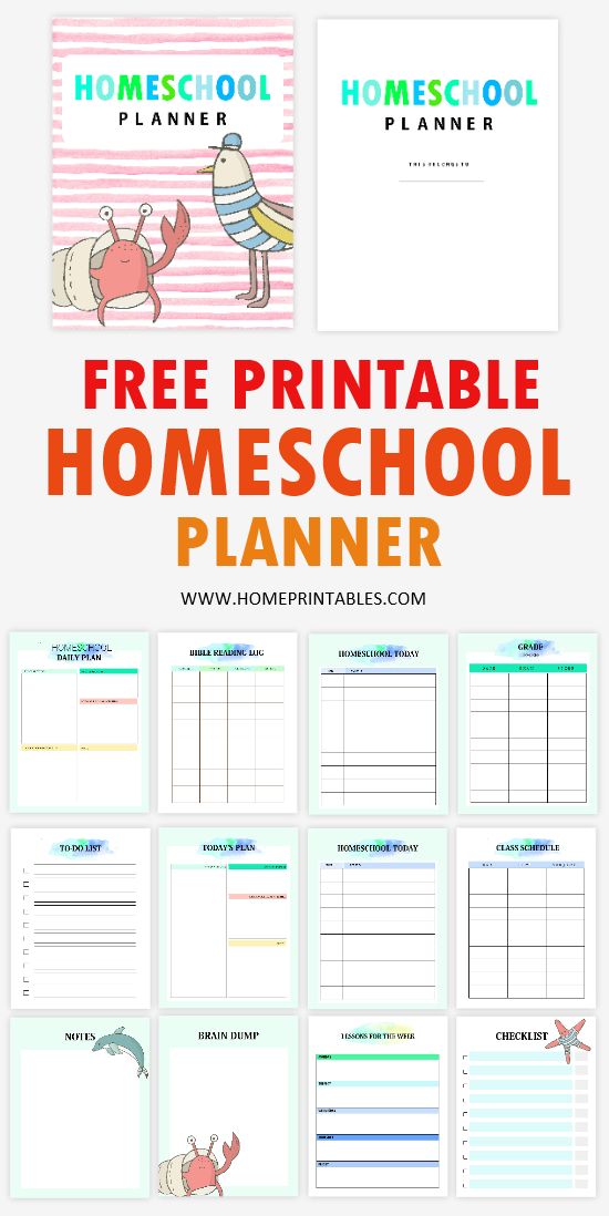 Free Homeschool Printables Printable Templates - vrogue.co