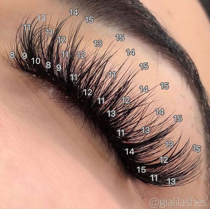 Classic individual lash extensions: ✅ Thickness 0.03 0.05 0.07 0.10 0.15 0.18 0.20 ✅ Length: 8-15mm Mixed Length ✅ Curl: C & D ✅ Free international shipping over $99. ✅Unit Price: 💲6.99 Shop online here 👆👆 #richmondlashes #houstonlashartist #houstonlashes #chicagolashes #chicagolashtech #atlantalashes #dclashes #baltimorelashes #floridalashes #nylashes #longbeachlashes #newzealandbeauty #dmvlashe #melbournelashes #perthlashes #virginialashes #southcarolinalashes #georgialashes #idaholashes 15 Mm Eyelash Extensions, Types Of Eyelash Extensions, Eyelash Extensions Classic, Lash Maps, Lash Map, Lash Mapping, Lashes Fake Eyelashes, Eyelash Extensions Styles, Lash Extensions Styles