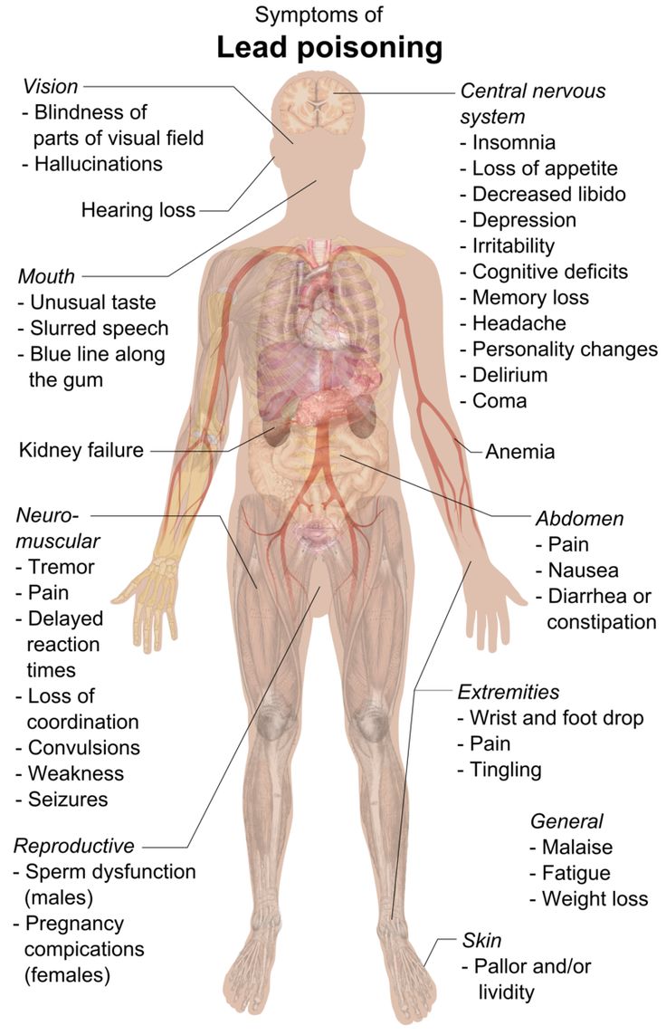 the human body and its major organ systems