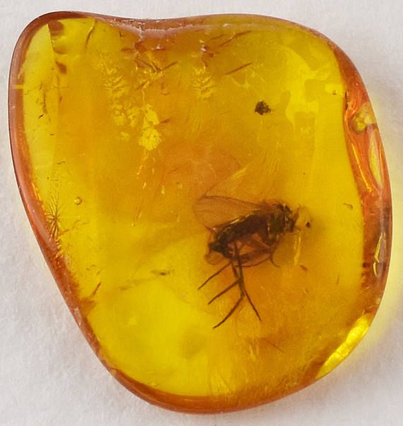 two flies sitting on top of a yellow piece of glass