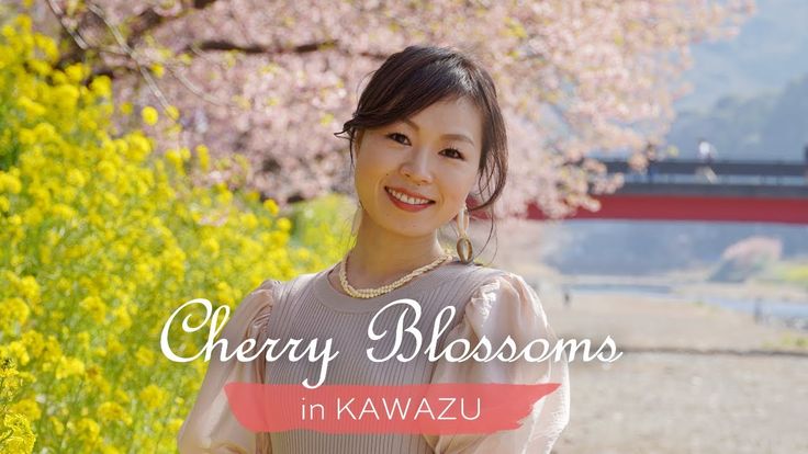 🌸Cherry Blossoms in KAWAZU🌸 https://www.alojapan.com/392761/%f0%9f%8c ...