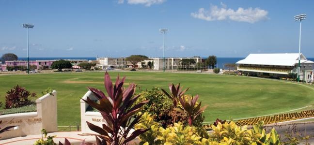 an empty baseball field surrounded by lush green grass and yellow flowers in the foreground