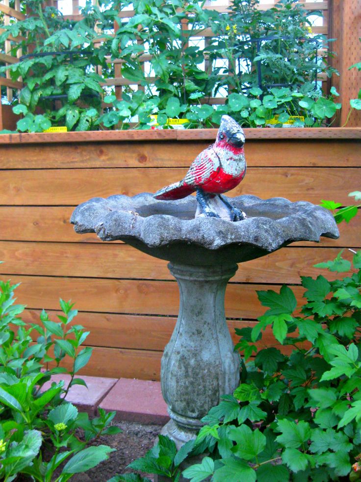 a bird is sitting on top of a water fountain in the middle of a garden