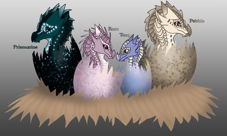 three different types of dragon eggs in an egg shell with the names of each one