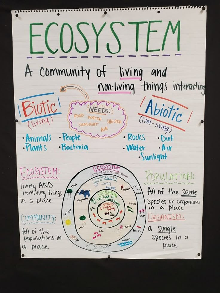 a poster with words and pictures on it that say ecosystem, a community ...