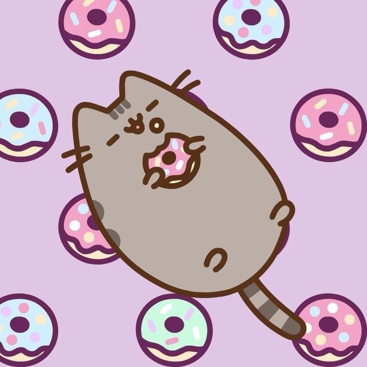 an image of a cat that is surrounded by donuts