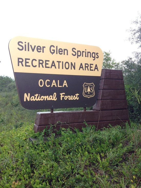 there is a sign that says silver glei springs recreation area located in the woods