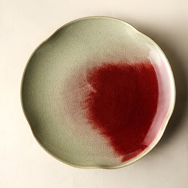 a white and red plate on a table with a small amount of blood in it