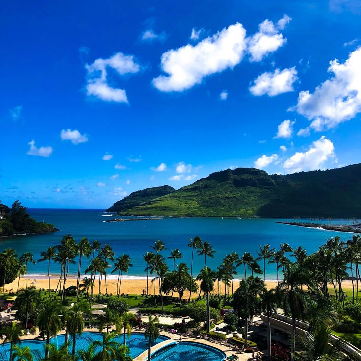 an aerial view of the beach and ocean with palm trees in front of blue water